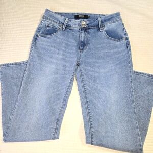 Hudson Women's Mid-rise Straight Leg Blue Jeans